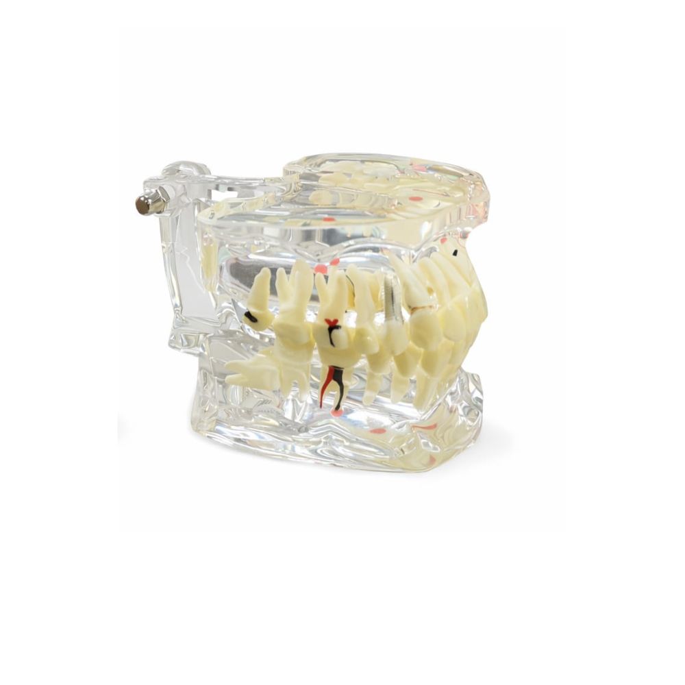 Crystal Study Model