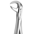 Cow Horn Forcep Lower